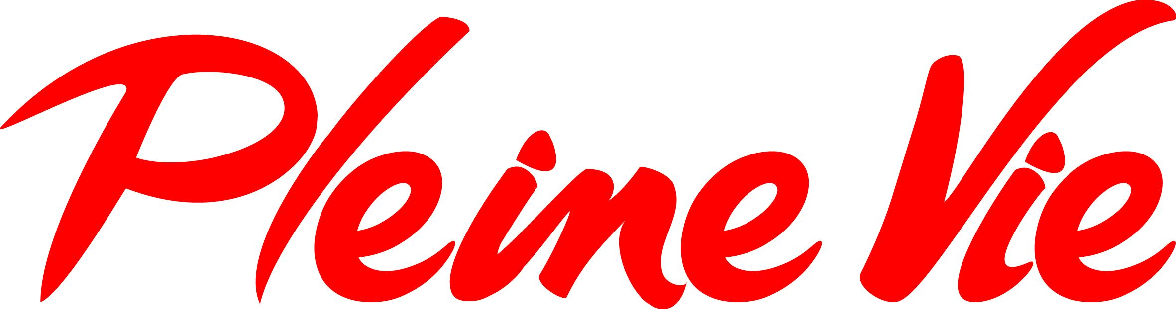 LOGO_PV_2015 France Num, partenaire de Premiers Clics